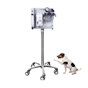 Best Selling Medical Apparatus Anaesthesia Instruments Anesthesia Machine for Hospital Use