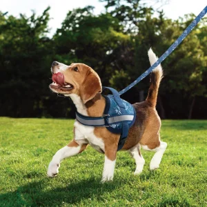 Rena Pet Printed Adorable Fashion Adjustable Reflective Polyester Collar Leash and Harness