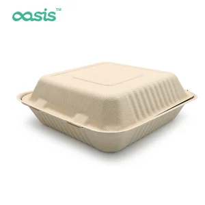 Biodegradable Sugarcane Pulp Food Container