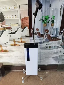 Professional Stand Hair Steamer