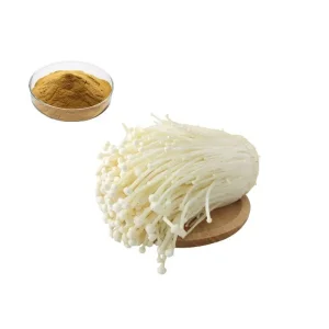 Enokitake Mushroom Extract Powder
