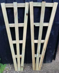 Fan Trellis Garden Treated Timber Plant Support 4FT X 1FT