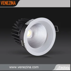 30W COB Downlight