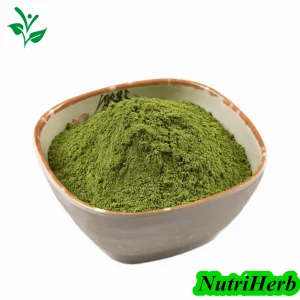 Proveedor Mayorista a Granel 100% Polvo de Espinaca Verde