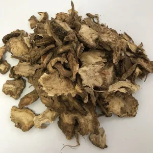 Du Huo Crude Herbal Medicine Radix Angelicae Pubescentis