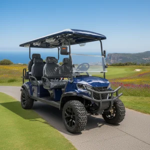 Customized Electric Golf Cart, Can Be Used As a Multi-Passenger Vehicle, Complies with Road Traffic Regulations, 60V Battery