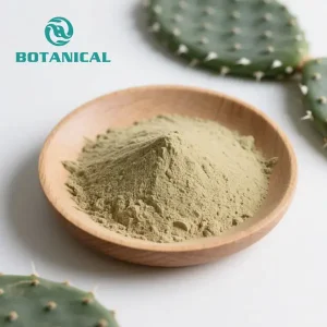 Nopal Cactus