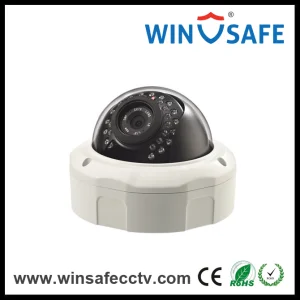 Waterproof Security 1080P HD Low Lux IR Dome IP Camera
