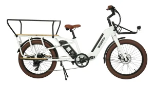 Family Electric Bicycle