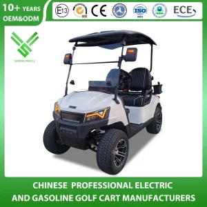 Shininglsv 2 Seat 48V Lead Acid Compact Entry Model Vehicle Golf Cart
