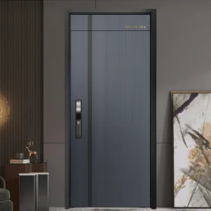 Galvanized Steel Security Door