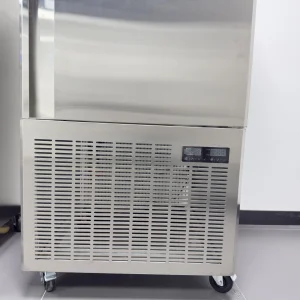 Congelador de Cozinha com Especificações Comerciais