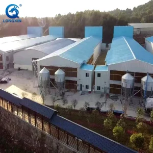 Prefab Layer Chicken Coop Houses