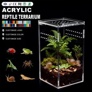 Acrylic Pet Reptile Display Case