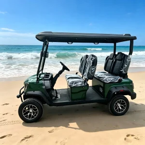 Motor AC Tongcai Kepler Superior 72V Alta Eficiência Zero Carbono Baixo Ruído Longo Alcance Durável para Frota de Campo de Golfe Carro Elétrico de Golfe