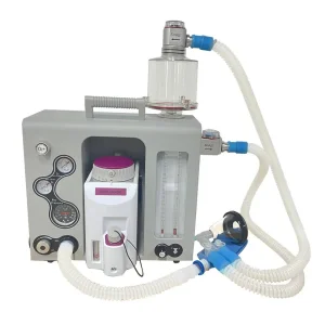 Veterinary Hospital Anesthesia