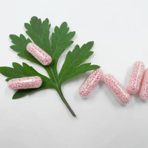 Functional Food for Muscle Health and Cancer Prevention