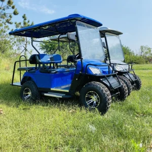 Custom Club DC Motor