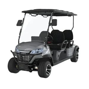 48V Lithium Battery Golf Cart