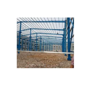 Affordable Steel Frame House