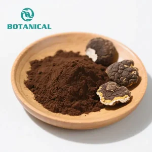 Wholesale Chaga mushroom extract powder Supplier, Factory