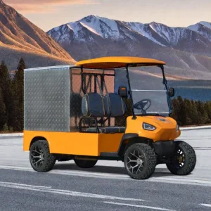 Battery Operated Electric 2 Passenger Utility Golf Cart Electric with Cargo Box