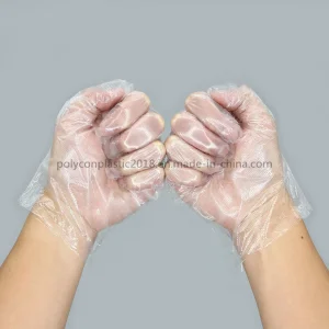 Disposable Plastic Gloves Waterproof PE Gloves Multipurpose Gloves for Cooking Serving Washing Painting
