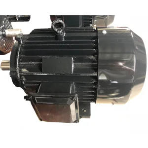 15kw 20hp AC Motor
