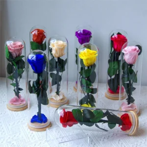 10+Years Manufacturers Eternal Roses