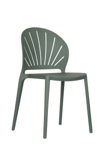 Plastic Dining Chairs