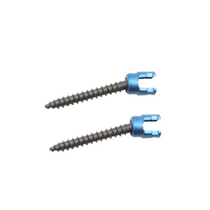 Geasure Ortopedia 6.0 Spinal Polyaxial Pedicle Screw