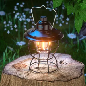 China Top Nordic Hanging Warm Lights Vintage Rustic Battery Powered Dimmer Lamp for Camping Suppliers, Exporters
