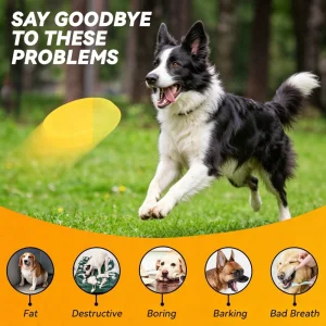 EVA Flying Disc Dog Toy