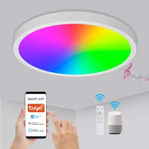 Smart Control Tuya APP Control 24W Round Ceiling Light