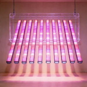 Hydroponic Dimmable