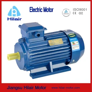 Ye3 Premium High Efficiency Three Phase Induction Motor