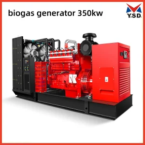 350kw Generador de Genset de Doble Combustible