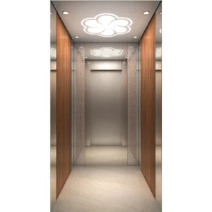 450kg-1600kg 1m/S-2.5m/S Mr Passenger Elevator