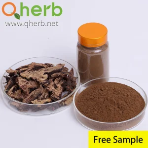 8% Saponina triterpenoide de Cimicifuga Foetida Extrato de Cohosh Negro
