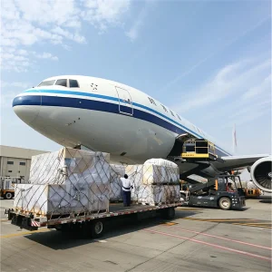 Air Cargo to Moscow Dme Airport Freight Logistics Consolidation