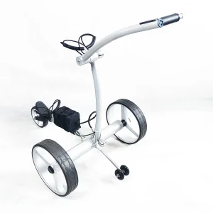 Electric Golf Cart Golf Course