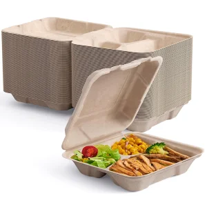 Eco-friendly Disposable Clamshell to Go Container