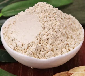 Astragalus Root Extract Powder