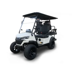 Cheap Price 60V 72V 5kw New Energy Mini Electric Golf Carts