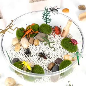 Sensory Sorting Tray