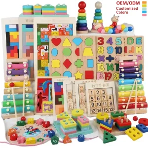 Montessori Stacking Puzzle Educational Sets