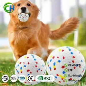 Circfoam Pet Ball Toy Interactive Dog Training Game ETPU High-Elasticity Ball-Shaped