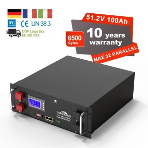 10 Year Warranty 51.2V 100Ah