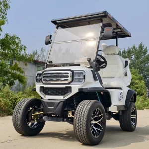 New Energy Solar-Powered 2 Seater