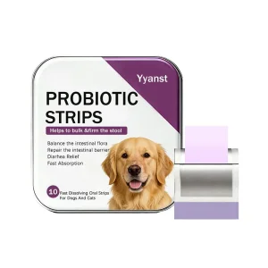 Pet Probiotic Boost Appetite Improve Gut Flora Naturally All Day Film